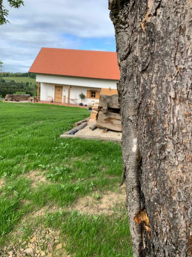 Das Weinstoeckl Inzenhof Dış mekan fotoğraf